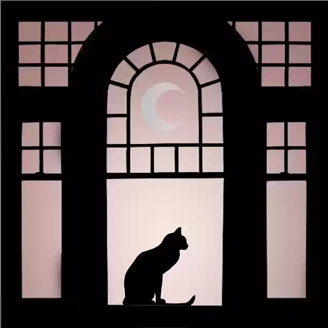 Free download Window Cat Moon -  free illustration to be edited with GIMP free online image editor