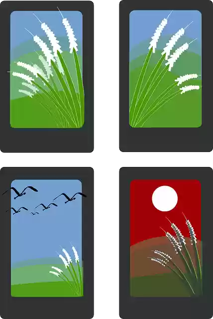 Free download Window Seasons Summer - Free vector graphic on Pixabay free illustration to be edited with GIMP free online image editor