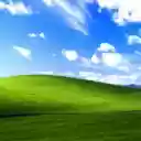 Windows XP  screen for extension Chrome web store in OffiDocs Chromium