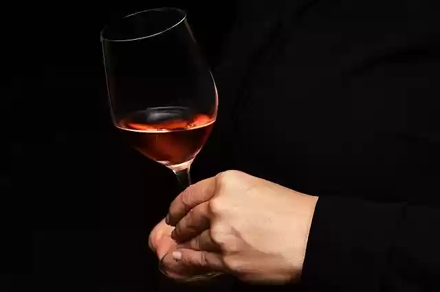 Free download Wine Rose Pink -  free photo or picture to be edited with GIMP online image editor