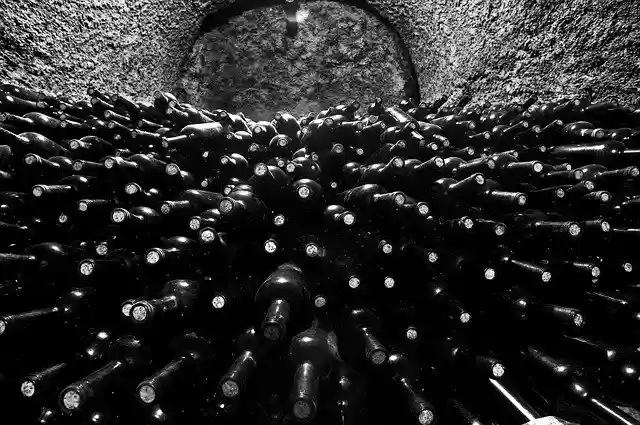 Free download Wine Wineyard Grape -  free photo or picture to be edited with GIMP online image editor