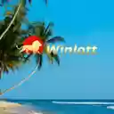 Winlott  screen for extension Chrome web store in OffiDocs Chromium
