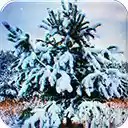 winter❄️  screen for extension Chrome web store in OffiDocs Chromium