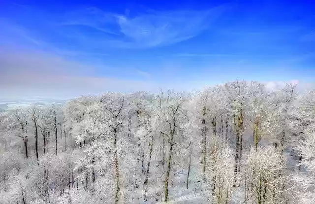 Free download Winter Deister Trees -  free free photo or picture to be edited with GIMP online image editor