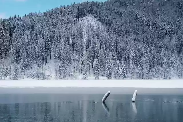 Free download winter frozen lake forest lake free picture to be edited with GIMP free online image editor