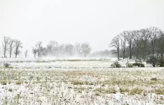 Free download winter gale wind snow cold field free picture to be edited with GIMP free online image editor
