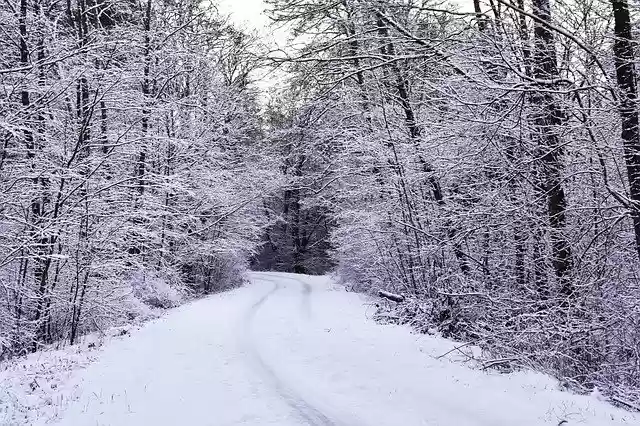Free download Winter Hoarfrost Snow free photo template to be edited with GIMP online image editor