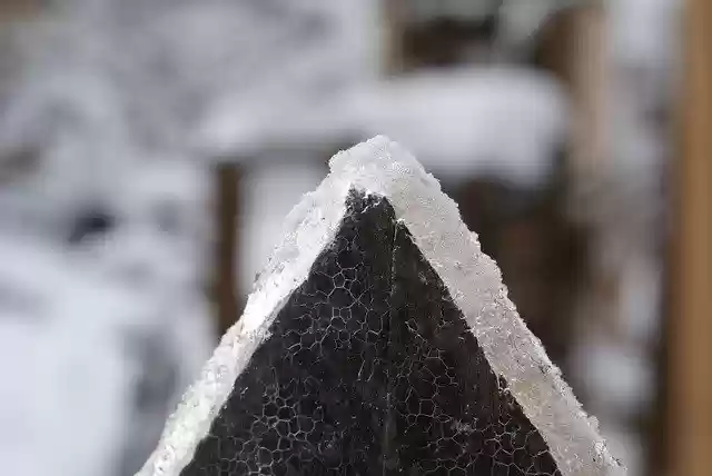 Free download Winter Log Snow -  free photo or picture to be edited with GIMP online image editor