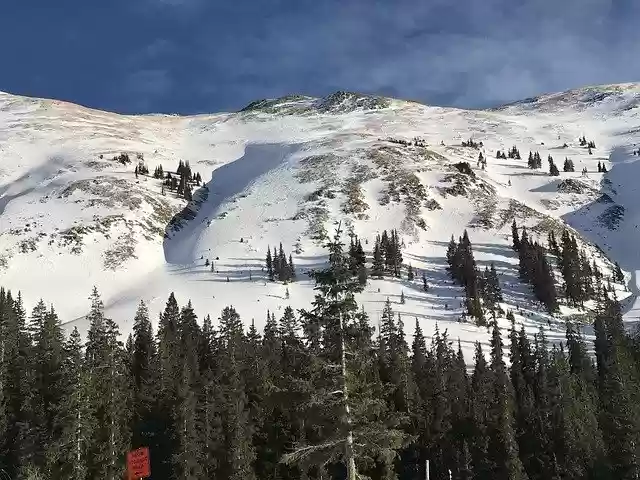 Free download Winter Mountains Evergreen -  free photo or picture to be edited with GIMP online image editor