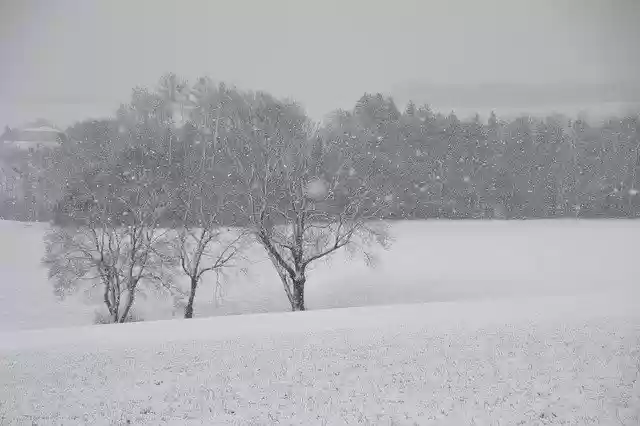 Free download Winter Nature Snow free photo template to be edited with GIMP online image editor