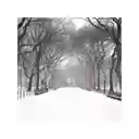 Winter Park  screen for extension Chrome web store in OffiDocs Chromium