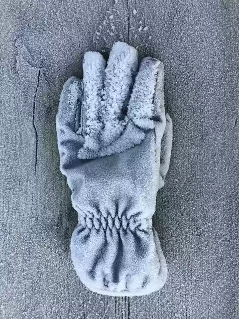 Free download Winter Rim Rime -  free photo or picture to be edited with GIMP online image editor