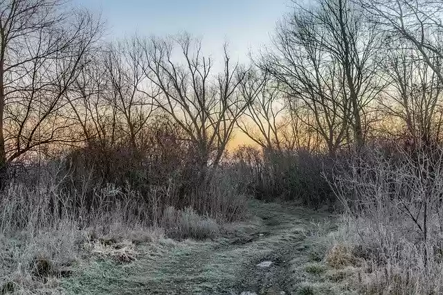 Free download Winter River Nature -  free photo or picture to be edited with GIMP online image editor