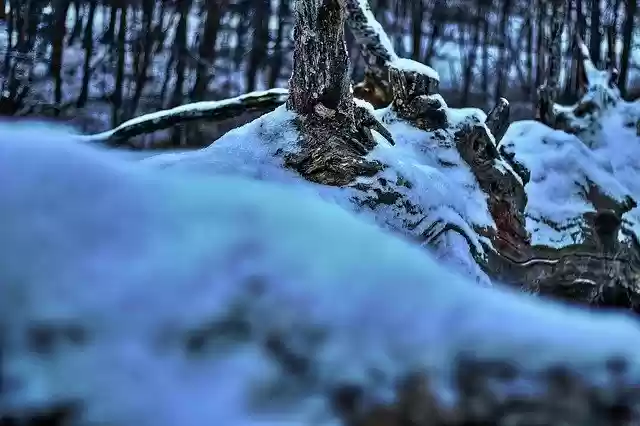 Free download Winter Snow Germany free photo template to be edited with GIMP online image editor