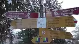 ফ্রি ডাউনলোড উইন্টার স্নো সাইন - ওপেনশট অনলাইন ভিডিও এডিটর দিয়ে বিনামূল্যে ভিডিও সম্পাদনা করা হবে
