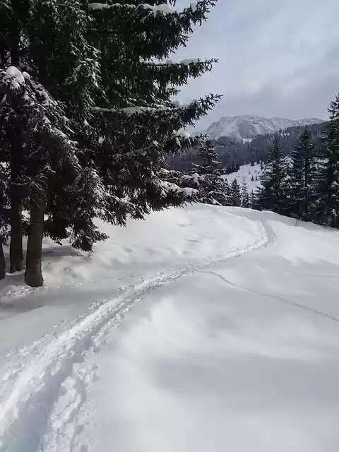 Free download Winter Snow Winterspaziergang -  free photo or picture to be edited with GIMP online image editor