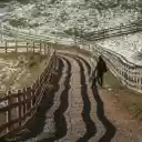 Winter Stroll on a Snowy Rural Path in Austria  screen for extension Chrome web store in OffiDocs Chromium