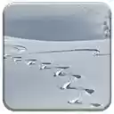 Winter Tracks  screen for extension Chrome web store in OffiDocs Chromium