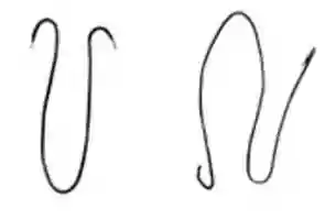 Free download Wire ending in Ducks Heads free photo or picture to be edited with GIMP online image editor