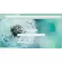 wish flower  screen for extension Chrome web store in OffiDocs Chromium