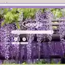 Wisteria  screen for extension Chrome web store in OffiDocs Chromium