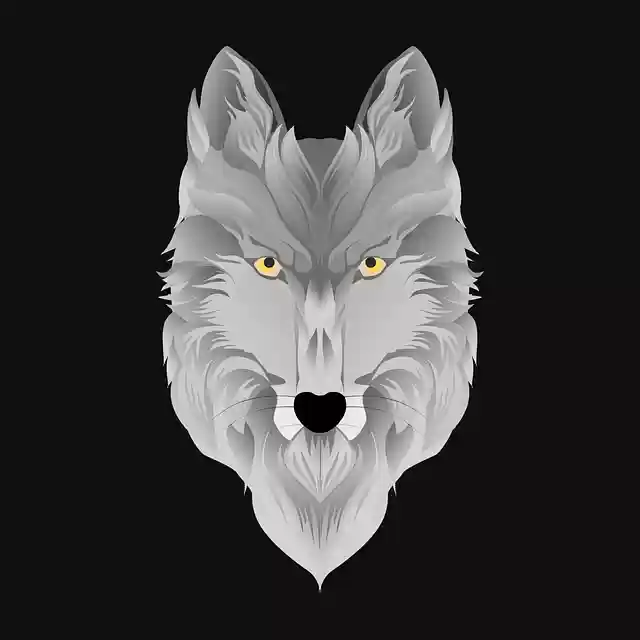 Free download Wolf Animal Predator -  free photo or picture to be edited with GIMP online image editor