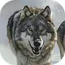 wolf pack on snow mountain  screen for extension Chrome web store in OffiDocs Chromium