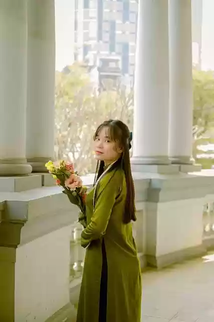 Free download woman aodai traditional vietnam free picture to be edited with GIMP free online image editor