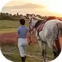 Woman leading two horses in sunset landscape  screen for extension Chrome web store in OffiDocs Chromium