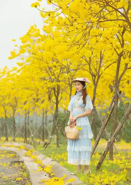 Free download woman model park trees leaves free picture to be edited with GIMP free online image editor