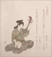 Free download Woman Playing on the Shamisen free photo or picture to be edited with GIMP online image editor