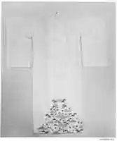 Free download Womans Kimono free photo or picture to be edited with GIMP online image editor