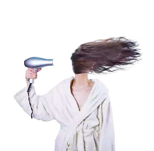 Free download Women Hair Dryer -  free illustration to be edited with GIMP free online image editor