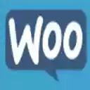 Woo保存工具  screen for extension Chrome web store in OffiDocs Chromium