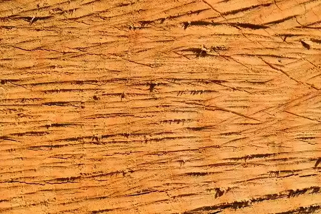 Free download Wood Cutting Tree Trunk -  free photo or picture to be edited with GIMP online image editor