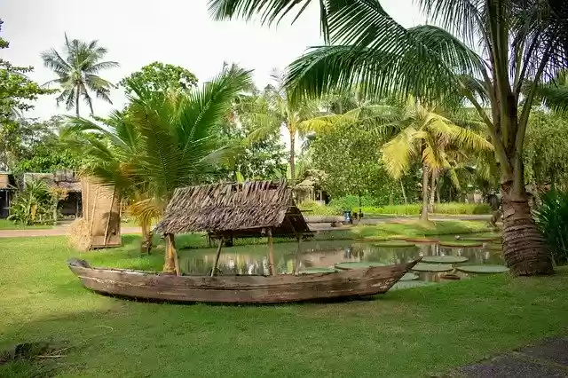 Free download Wooden Boat Green -  free free photo or picture to be edited with GIMP online image editor