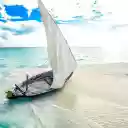 Wooden boat ran aground  screen for extension Chrome web store in OffiDocs Chromium