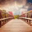 Wooden bridge across the river  screen for extension Chrome web store in OffiDocs Chromium