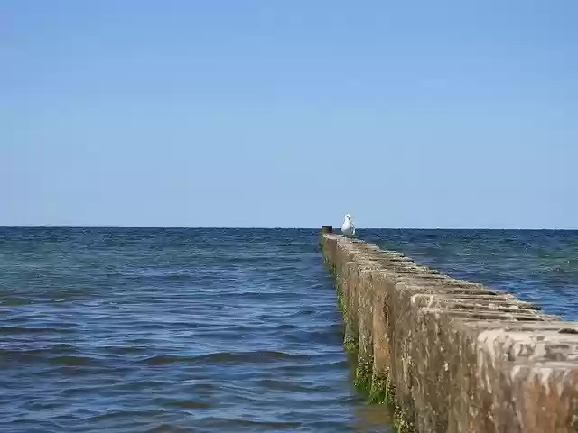Free download Wooden Posts Lake Sea -  free photo or picture to be edited with GIMP online image editor
