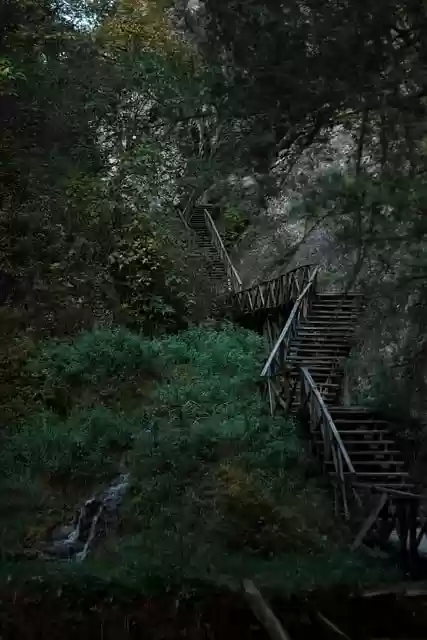 Free download wooden stairs forest woods free picture to be edited with GIMP free online image editor