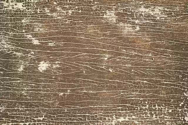 Free download Wood-Fibre Boards Texture Wood -  free photo or picture to be edited with GIMP online image editor