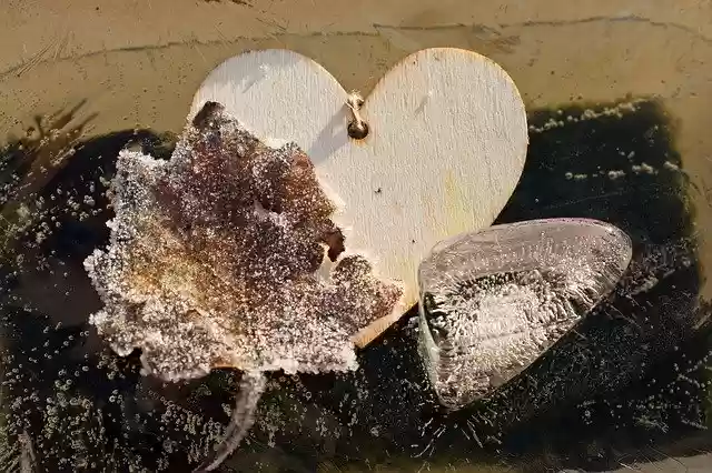 Free download Wood Heart Ice Cold -  free free photo or picture to be edited with GIMP online image editor