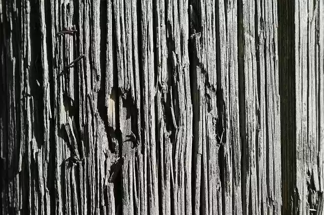 Free download Wood Material Nature -  free photo or picture to be edited with GIMP online image editor