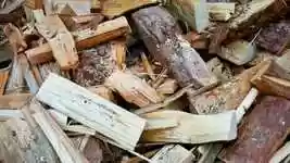 Free download Wood Pile Logs -  free video to be edited with OpenShot online video editor