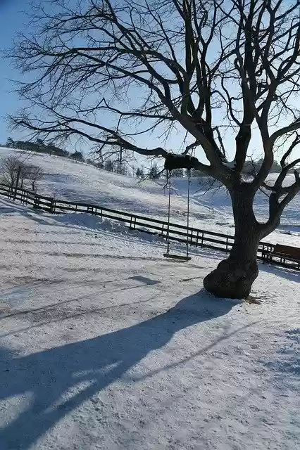 Download gratuito Wood Snow Winter - foto o immagine gratuita da modificare con l'editor di immagini online di GIMP