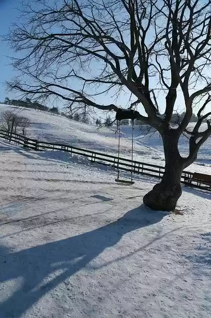 ດາວ​ໂຫຼດ​ຟຣີ Wood Snow Winter - ຮູບ​ພາບ​ຟຣີ​ຫຼື​ຮູບ​ພາບ​ທີ່​ຈະ​ໄດ້​ຮັບ​ການ​ແກ້​ໄຂ​ກັບ GIMP ອອນ​ໄລ​ນ​໌​ບັນ​ນາ​ທິ​ການ​ຮູບ​ພາບ​