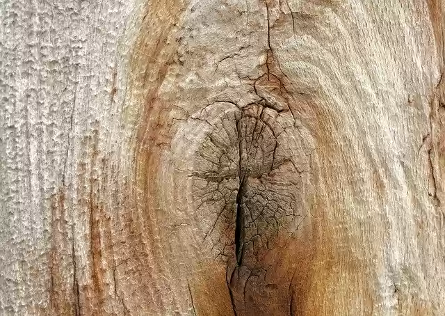 Free download Wood Structure Textures -  free photo or picture to be edited with GIMP online image editor