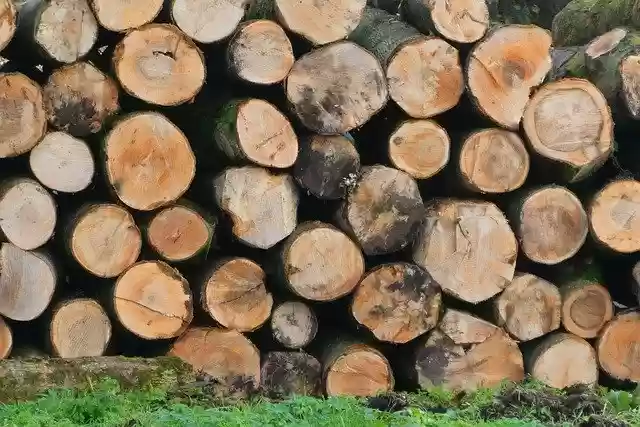 Free download Wood Trunks Serrated -  free free photo or picture to be edited with GIMP online image editor