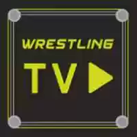 Free download Wrestling Tv free photo or picture to be edited with GIMP online image editor
