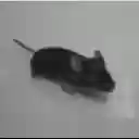 Xello Auto Finisher  screen for extension Chrome web store in OffiDocs Chromium